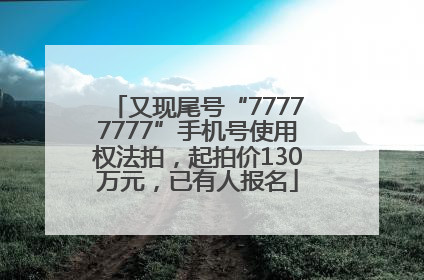 又现尾号“77777777”手机号使用权法拍，起拍价130万元，已有人报名