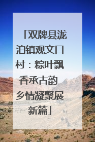 双牌县泷泊镇观文口村：粽叶飘香承古韵 乡情凝聚展新篇