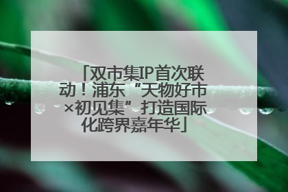 双市集IP首次联动！浦东“天物好市×初见集”打造国际化跨界嘉年华
