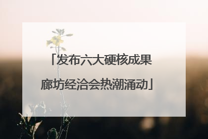 发布六大硬核成果 廊坊经洽会热潮涌动