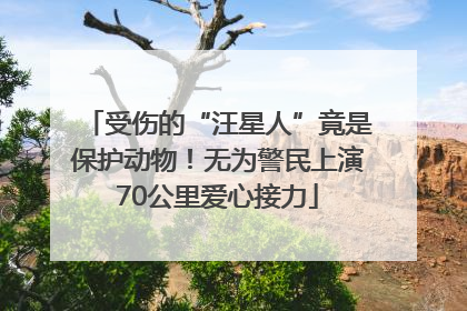 受伤的“汪星人”竟是保护动物！无为警民上演70公里爱心接力