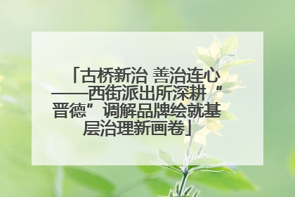 古桥新治 善治连心——西街派出所深耕“晋德”调解品牌绘就基层治理新画卷