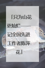 只为山花更灿烂——记全国先进工作者陈萍花