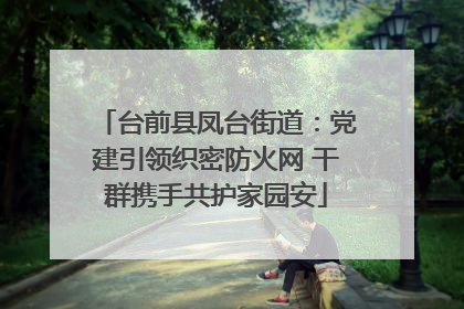 台前县凤台街道：党建引领织密防火网 干群携手共护家园安