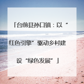 台前县孙口镇：以“红色引擎”驱动乡村建设“绿色发展”