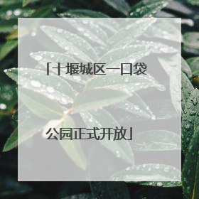 十堰城区一口袋公园正式开放
