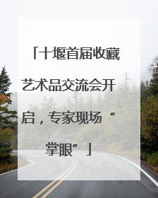 十堰首届收藏艺术品交流会开启，专家现场“掌眼”