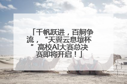 千帆跃进，百舸争流，“天翼云息壤杯”高校AI大赛总决赛即将开启！