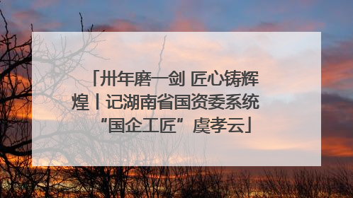 卅年磨一剑 匠心铸辉煌丨记湖南省国资委系统“国企工匠”虞孝云