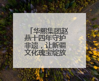 华熙集团赵燕十四年守护非遗，让新疆文化瑰宝绽放时代光彩