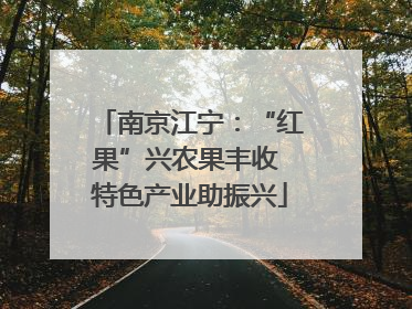 南京江宁：“红果”兴农果丰收 特色产业助振兴