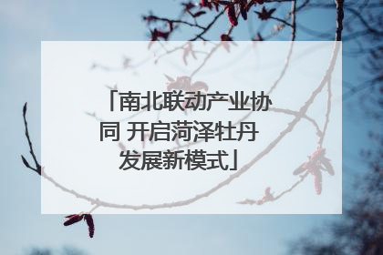 南北联动产业协同 开启菏泽牡丹发展新模式