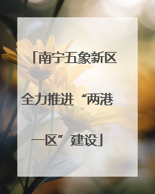 南宁五象新区全力推进“两港一区”建设