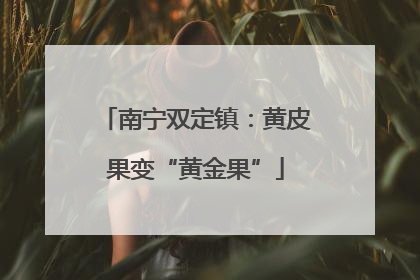 南宁双定镇：黄皮果变“黄金果”