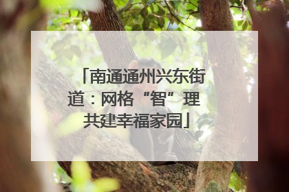 南通通州兴东街道：网格“智”理 共建幸福家园