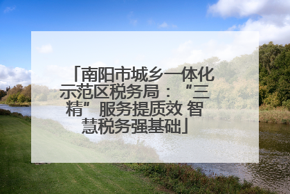 南阳市城乡一体化示范区税务局：“三精”服务提质效 智慧税务强基础