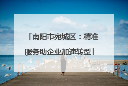南阳市宛城区：精准服务助企业加速转型