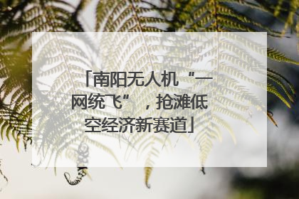 南阳无人机“一网统飞”，抢滩低空经济新赛道