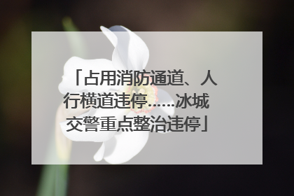 占用消防通道、人行横道违停……冰城交警重点整治违停