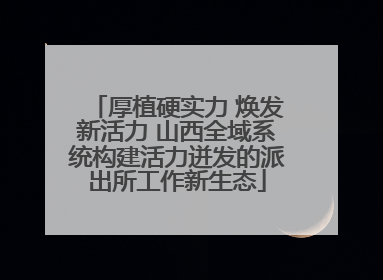 厚植硬实力 焕发新活力 山西全域系统构建活力迸发的派出所工作新生态