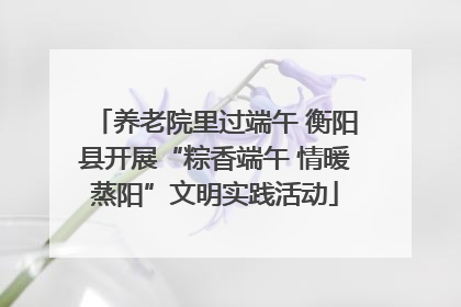 养老院里过端午 衡阳县开展“粽香端午 情暖蒸阳”文明实践活动