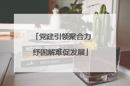 党建引领聚合力 纾困解难促发展