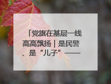 党旗在基层一线高高飘扬｜是民警、是“儿子”——申飞飞在太行山中的一线坚守