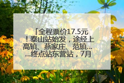全程票价17.5元！泰山站始发，途经上高镇、燕家庄、范镇……终点站东营站，7月1日开通！