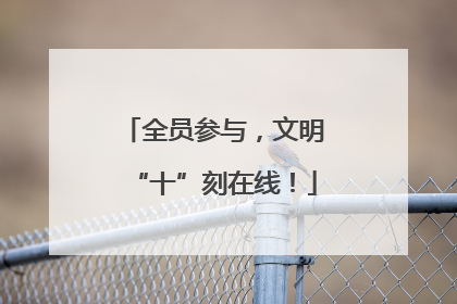 全员参与，文明“十”刻在线！