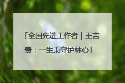 全国先进工作者｜王吉贵：一生秉守护林心
