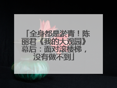 全身都是淤青！陈丽君《我的大观园》幕后：面对滚楼梯，没有做不到