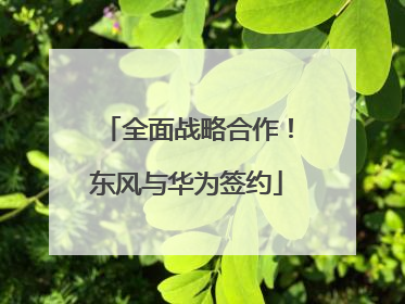 全面战略合作！东风与华为签约