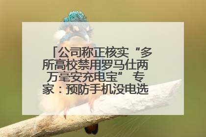 公司称正核实“多所高校禁用罗马仕两万毫安充电宝” 专家：预防手机没电选中等体积产品即可