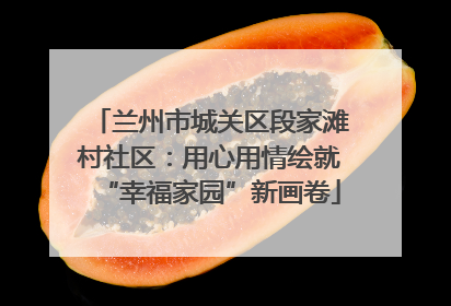 兰州市城关区段家滩村社区：用心用情绘就“幸福家园”新画卷