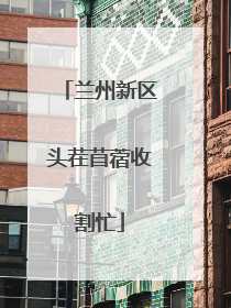 兰州新区头茬苜蓿收割忙