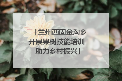 兰州西固金沟乡开展果树技能培训 助力乡村振兴