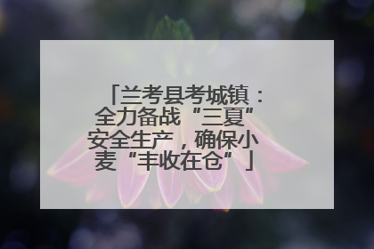 兰考县考城镇：全力备战“三夏”安全生产，确保小麦“丰收在仓”