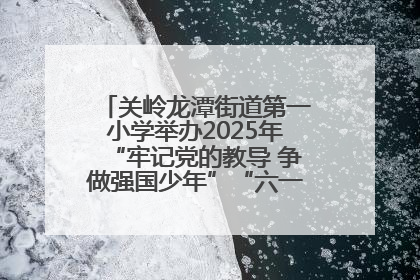 关岭龙潭街道第一小学举办2025年“牢记党的教导 争做强国少年”“六一”文艺汇演活动