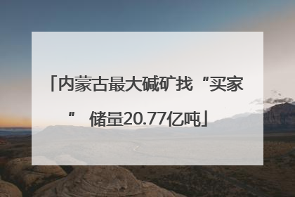 内蒙古最大碱矿找“买家” 储量20.77亿吨