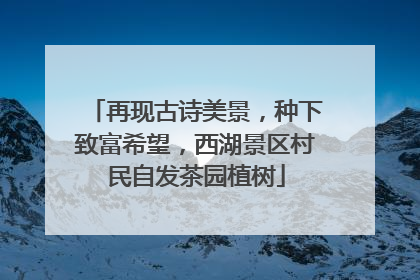 再现古诗美景，种下致富希望，西湖景区村民自发茶园植树