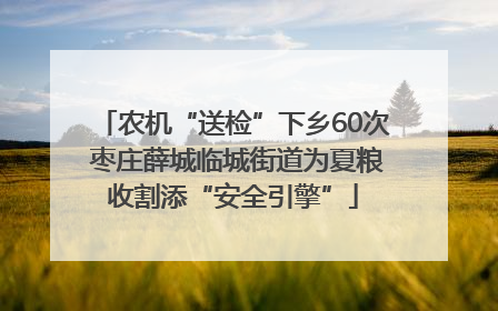 农机“送检”下乡60次 枣庄薛城临城街道为夏粮收割添“安全引擎”