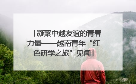 凝聚中越友谊的青春力量——越南青年“红色研学之旅”见闻