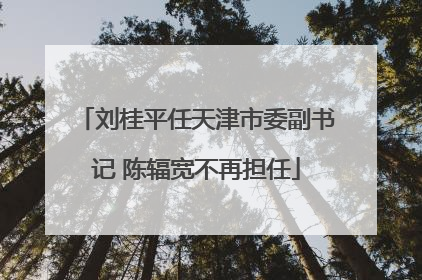 刘桂平任天津市委副书记 陈辐宽不再担任