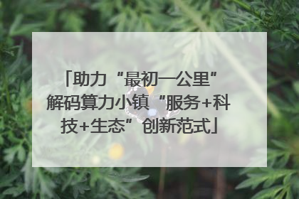 助力“最初一公里” 解码算力小镇“服务+科技+生态”创新范式