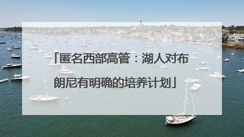 匿名西部高管：湖人对布朗尼有明确的培养计划