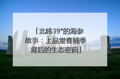 北纬39°的海参故事：上品堂春捕季背后的生态密码