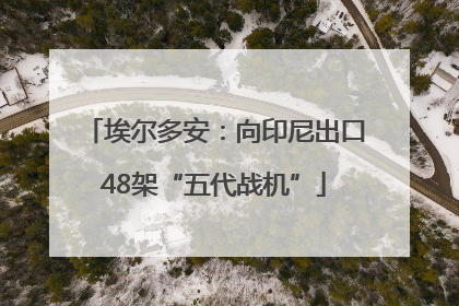 埃尔多安：向印尼出口48架“五代战机”