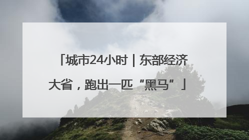 城市24小时｜东部经济大省，跑出一匹“黑马”
