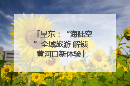 垦东：“海陆空”全域旅游 解锁黄河口新体验