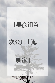 吴彦祖首次公开上海新家